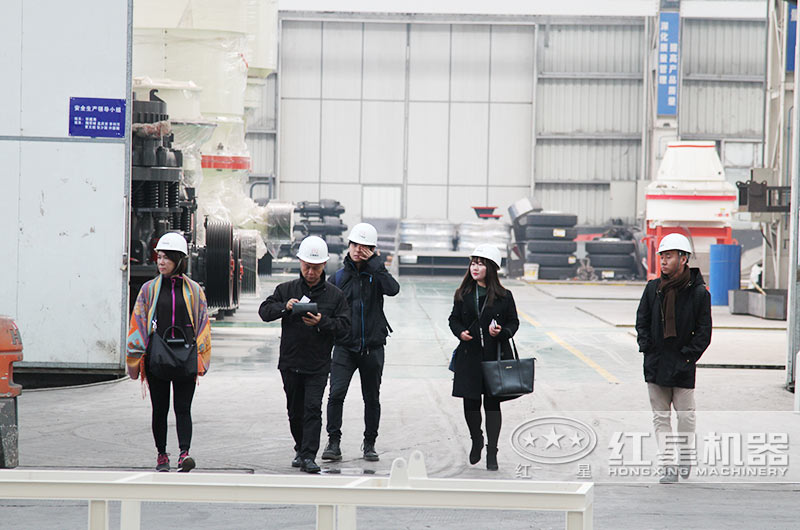客戶到紅星廠區(qū)進(jìn)行參觀，并咨詢
